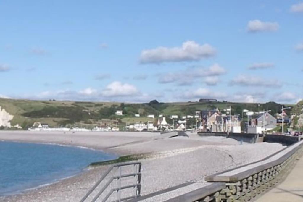 Albatros Studio A Moins De 50 Metres De La Plage, Vue Degagee Sur La Vallee 梅尔河畔的沃莱特 外观 照片
